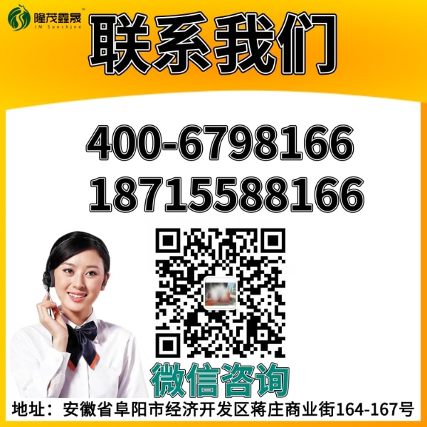 加油站隧道式全自动洗车机 加油站隧道式全自动洗车机